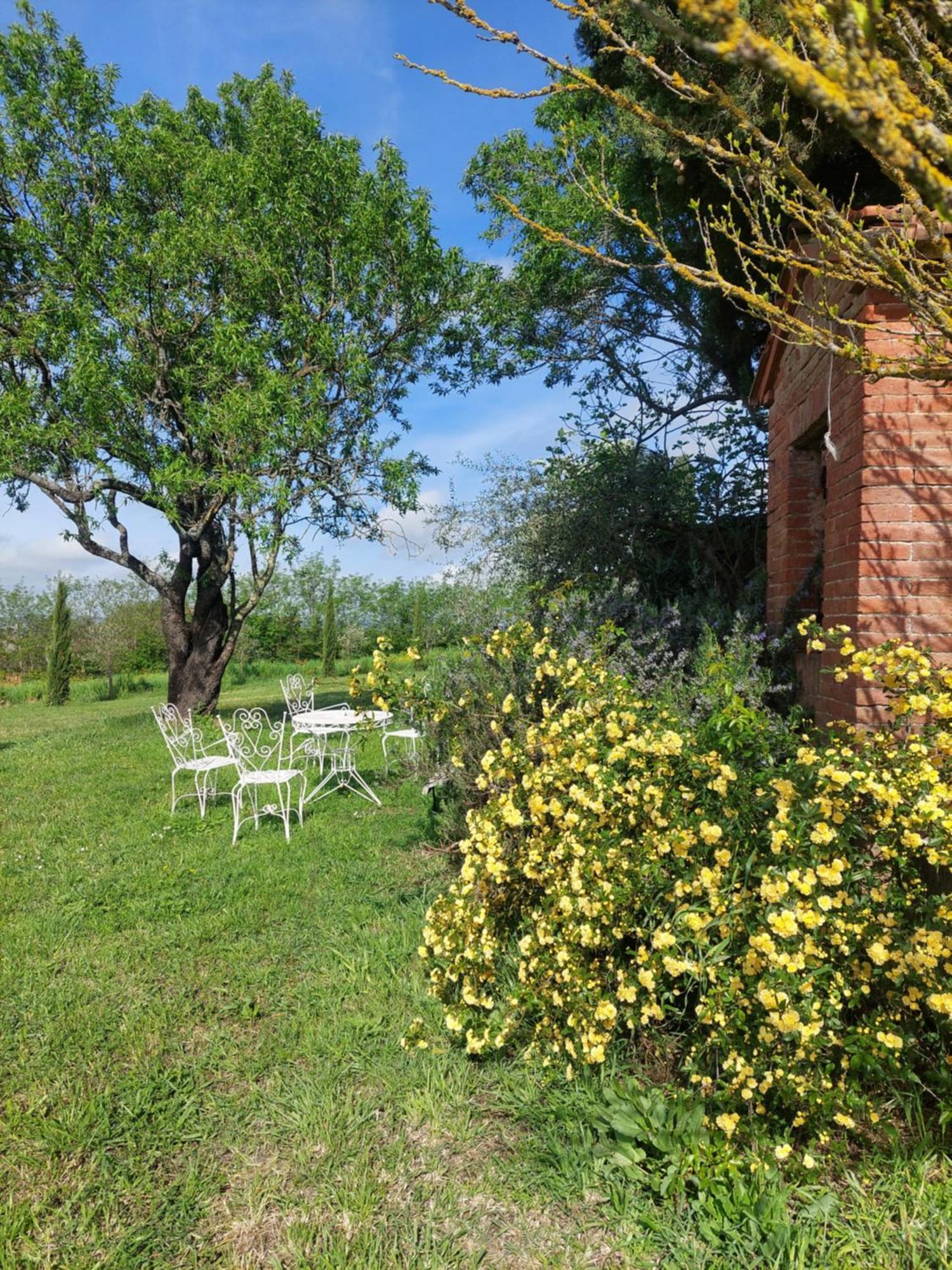 Casa Ezio Marchi Bed & Breakfast Bettolle Exterior photo