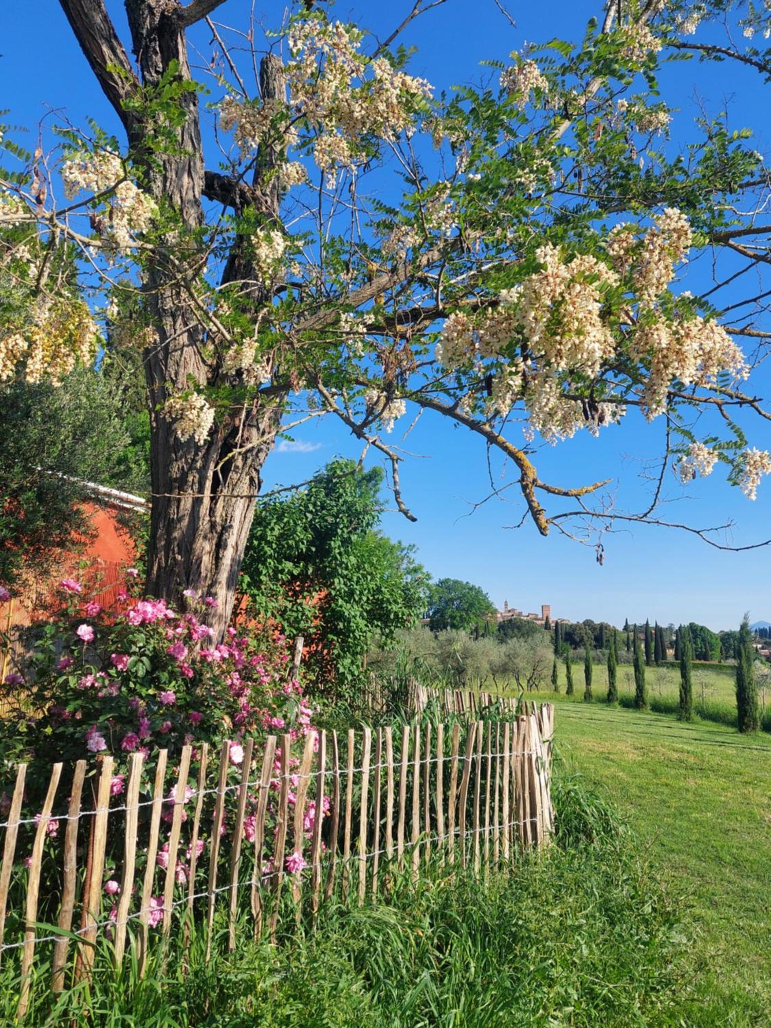 Casa Ezio Marchi Bed & Breakfast Bettolle Exterior photo